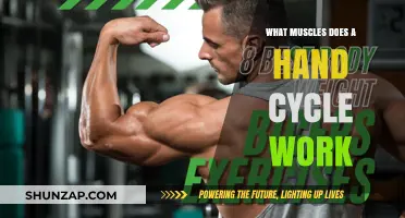 Hand Cycling Benefits: Targeted Muscles and Full-Body Workout Explained