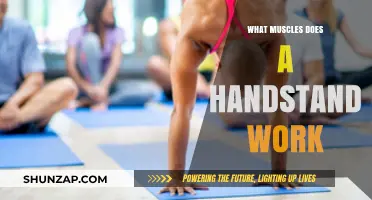 Handstand Benefits: Muscles Targeted and Strengthened in This Inverted Pose
