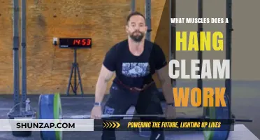 Hang Clean Muscles: Targeted Strength Training for Explosive Power