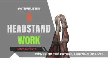 Headstand Benefits: Targeted Muscles and Strength Gains Explained