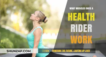 Health Rider Workout: Target Muscles and Full-Body Benefits Explained