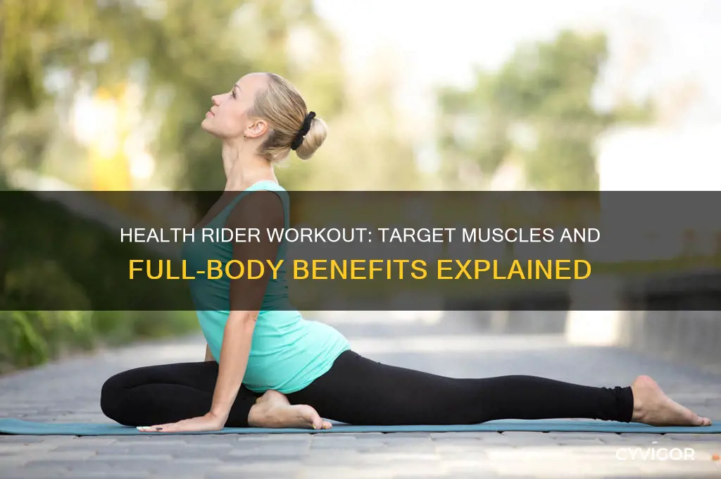what muscles does a health rider work