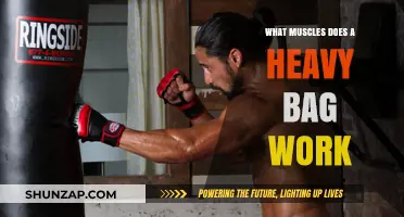 Heavy Bag Workout: Targeted Muscles and Full-Body Benefits Explained