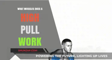 High Pull Muscles: Targeted Strength Training for Upper and Lower Body