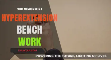 Hyperextension Bench Benefits: Targeted Muscles and Workout Guide