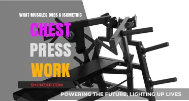 Isometric Chest Press: Targeted Muscles and Strength Benefits Explained