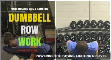 Isometric Dumbbell Row: Targeted Muscles and Benefits Explained