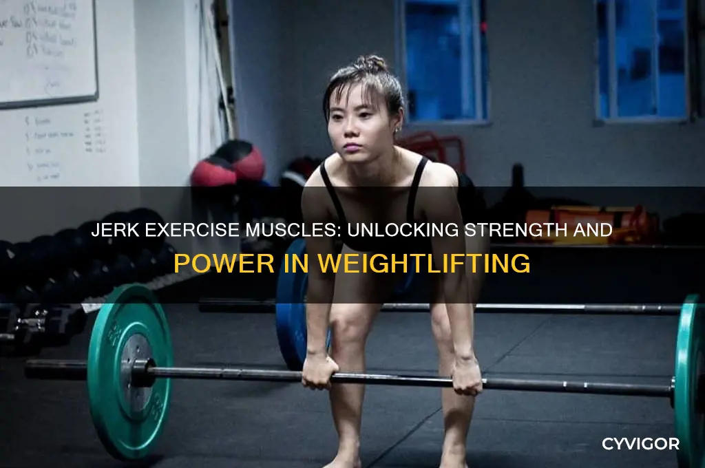 what muscles does a jerk work