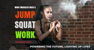 Jump Squats: Target Muscles and Full-Body Benefits Explained