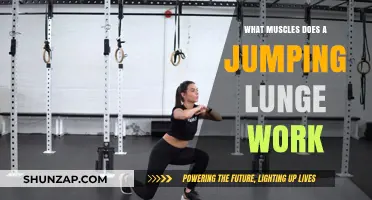 Jumping Lunges: Target Muscles and Full-Body Benefits Explained