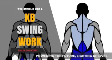Kettlebell Swing Muscles: Targeted Strength and Full-Body Benefits Explained