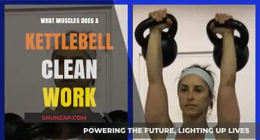 Kettlebell Clean Muscles: Targeted Strength Training Benefits Explained