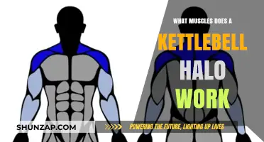 Kettlebell Halo: Targeted Muscles and Benefits for Strength Training