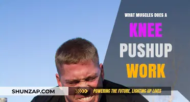 Knee Pushup Muscles: Targeted Upper Body Strength Training Benefits