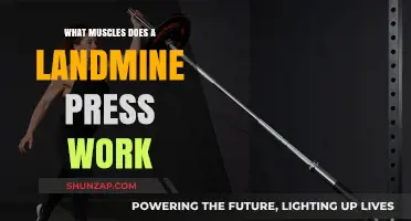 Landmine Press: Target Muscles and Benefits for Strength Training