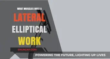 Lateral Elliptical Workout: Targeted Muscles and Full-Body Benefits Explained
