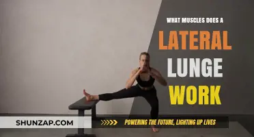 Lateral Lunge Muscles: Targeted Lower Body Strength and Stability Benefits