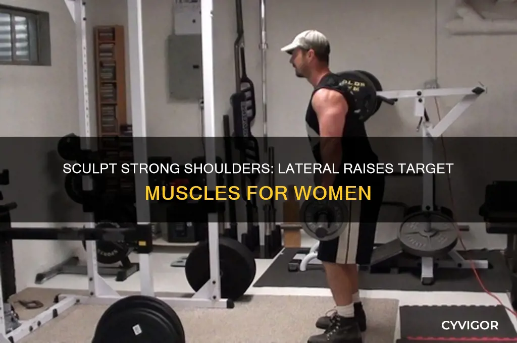 what muscles does a lateral raise work for women