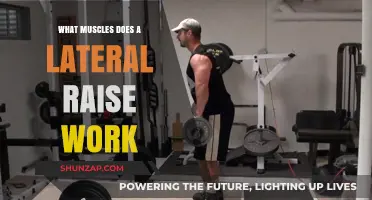 Lateral Raise Muscles: Targeted Shoulder Workout for Strength and Definition