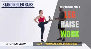 Leg Raises: Targeting Core, Hip Flexors, and Lower Ab Muscles
