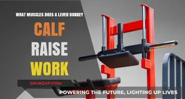 Lever Donkey Calf Raise: Targeted Muscles and Benefits Explained