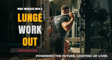 Lunges: Targeting Quads, Glutes, Hamstrings, and Core Muscles Effectively