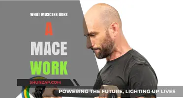 Mace Workout Benefits: Targeted Muscles and Full-Body Strength Training
