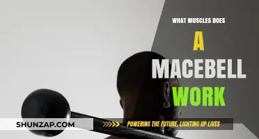 Macebell Training: Target Muscles and Full-Body Benefits Explained
