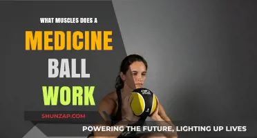 Medicine Ball Workout: Targeting Core, Upper, and Lower Body Muscles