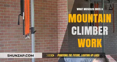 Mountain Climbers: Target Muscles and Full-Body Benefits Explained