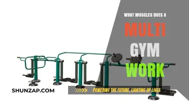 Multi Gym Workout: Targeted Muscles and Full-Body Benefits Explained