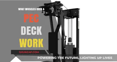 Pec Deck Workout: Targeted Muscles and Benefits Explained
