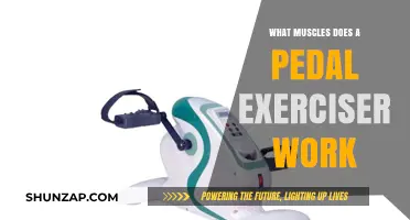 Pedal Exerciser Benefits: Targeted Muscles and Full-Body Workout Explained
