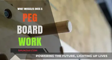 Peg Board Workout: Targeted Muscles and Full-Body Benefits Explained