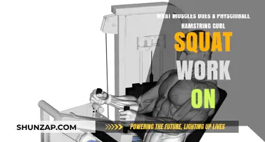 Physioball Hamstring Curl Squat: Targeted Muscles and Benefits Explained