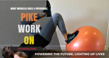 Physioball Pike: Target Muscles and Core Strengthening Benefits