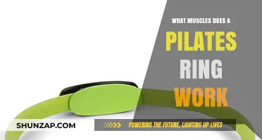 Pilates Ring Workout: Targeting Core, Arms, and Leg Muscles Effectively