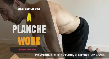 Planche Workout: Targeting Core, Shoulders, and Upper Body Muscles