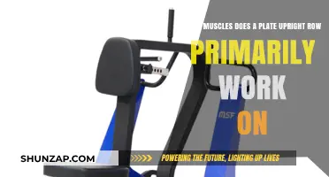 Plate Upright Row: Target Muscles and Effective Technique Explained
