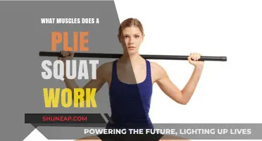 Plie Squat Muscles: Targeted Lower Body and Core Engagement Explained