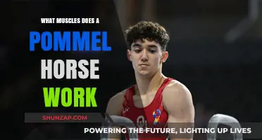 Pommel Horse Workout: Targeted Muscles for Strength and Stability