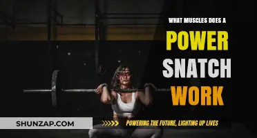 Power Snatch Muscles: Targeted Strength and Explosive Movement Benefits