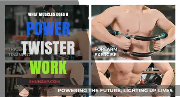 Power Twister Workout: Targeted Muscles and Strength Benefits Explained