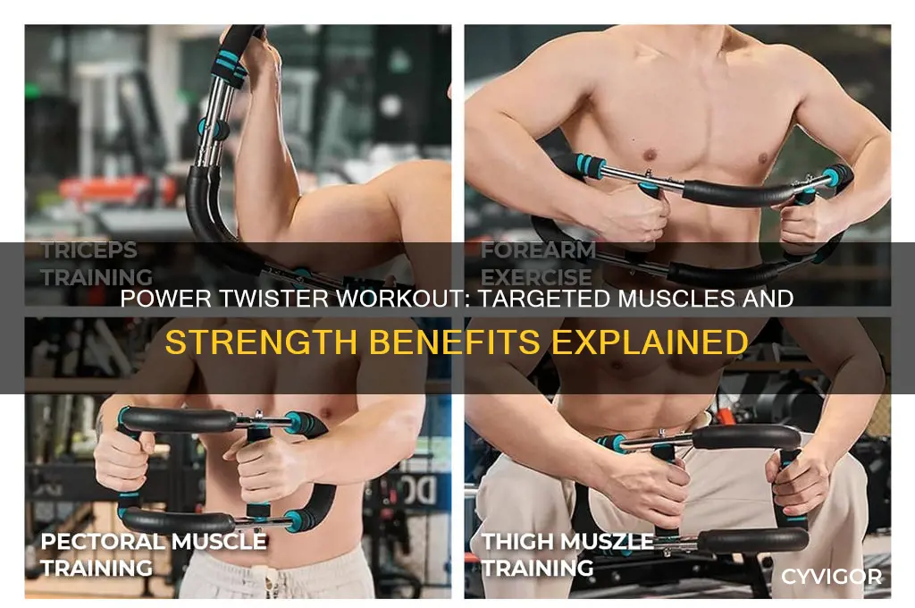 what muscles does a power twister work