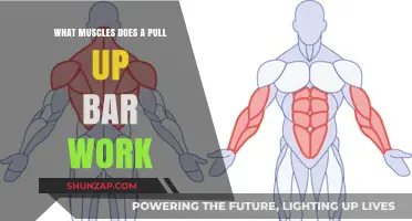 Pull Up Bar Muscles: Targeted Strength Training for Upper Body