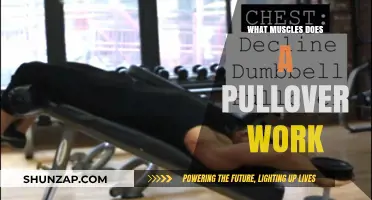 Pullover Workout Benefits: Targeted Muscles and Strength Training Explained