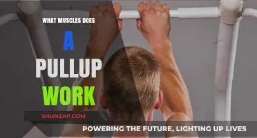 Pull-Up Power: Muscles Targeted and Strengthened by This Exercise