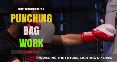 Punching Bag Workout: Targeted Muscles and Full-Body Benefits Explained