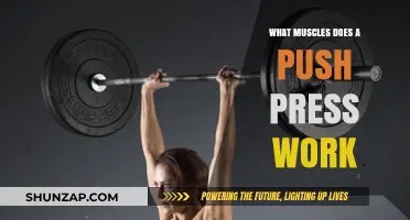 Push Press Power: Targeted Muscles and Full-Body Benefits Explained
