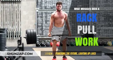 Rack Pull Muscles: Targeted Strength Training Benefits Explained